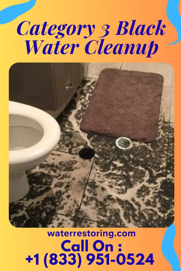 Category 3 Black Water Cleanup in Crossville, TN