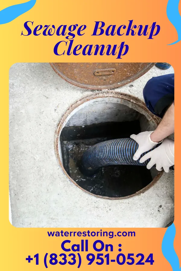 Sewage Backup Cleanup in Crossville, TN